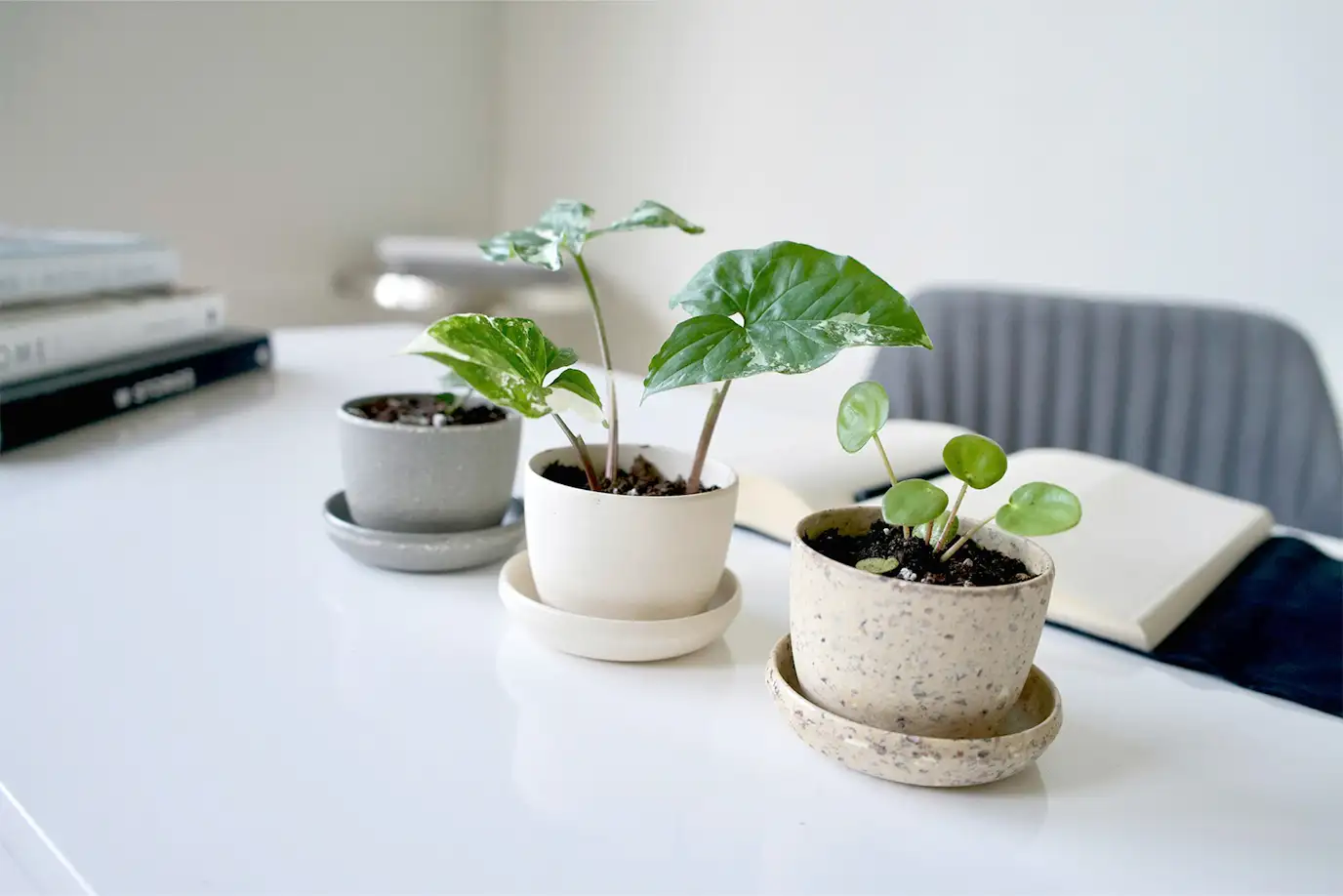 リビングを格上げするホワイトインテリア